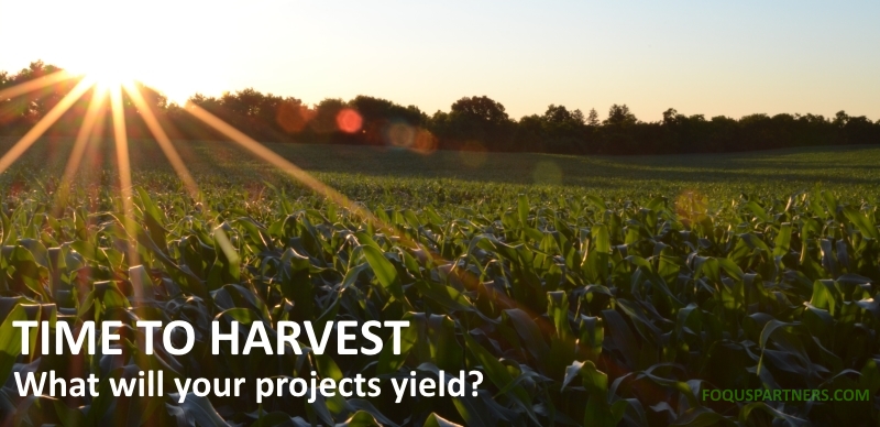 Time to harvest